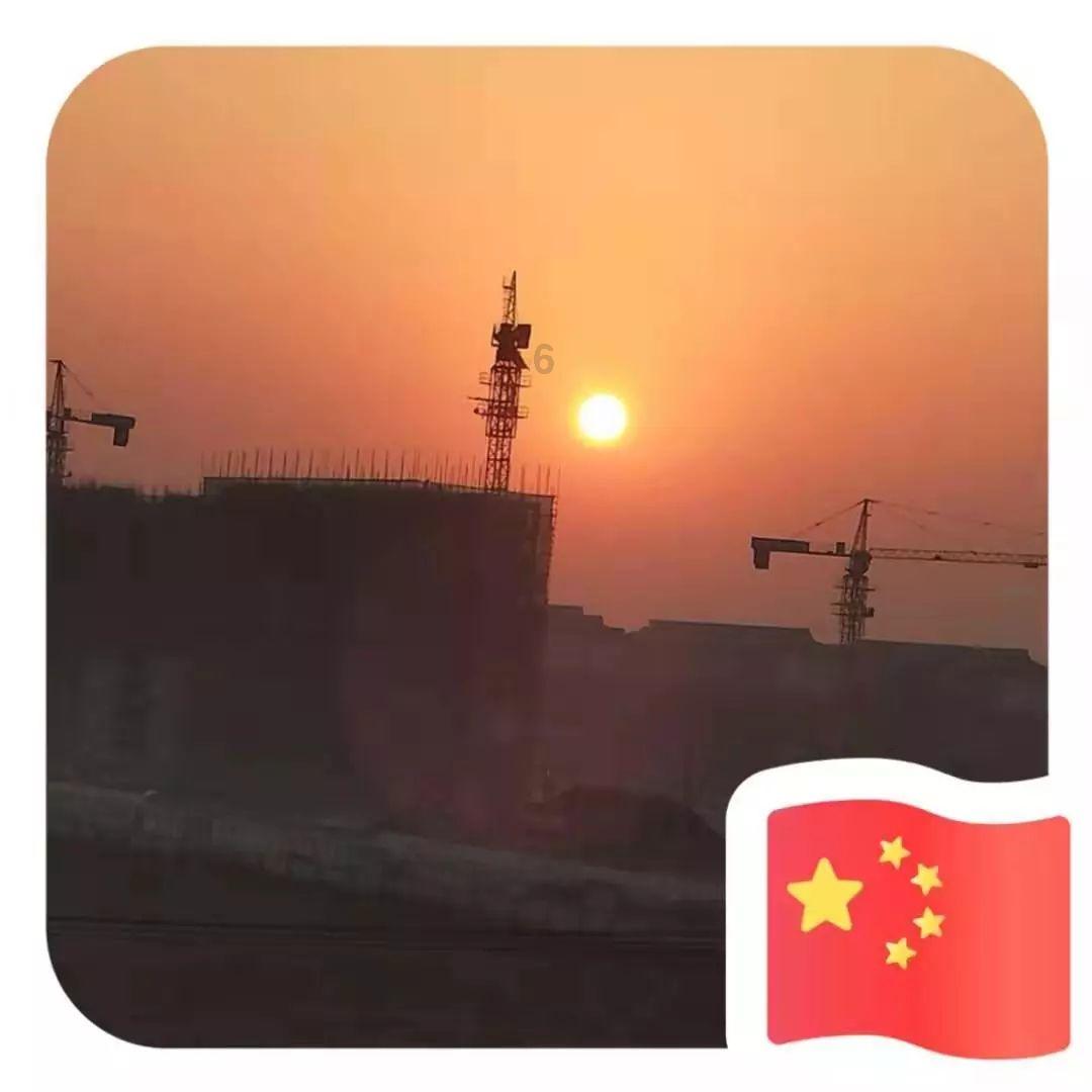 太逗了！妈妈把家里养了2年多的狗打包成嫁妆做陪嫁